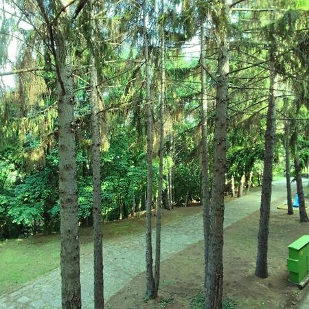 Park Hotel Briz Golden Sands Εξωτερικό φωτογραφία