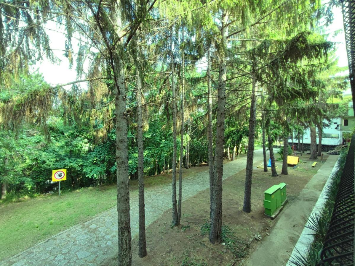 Park Hotel Briz Golden Sands Εξωτερικό φωτογραφία