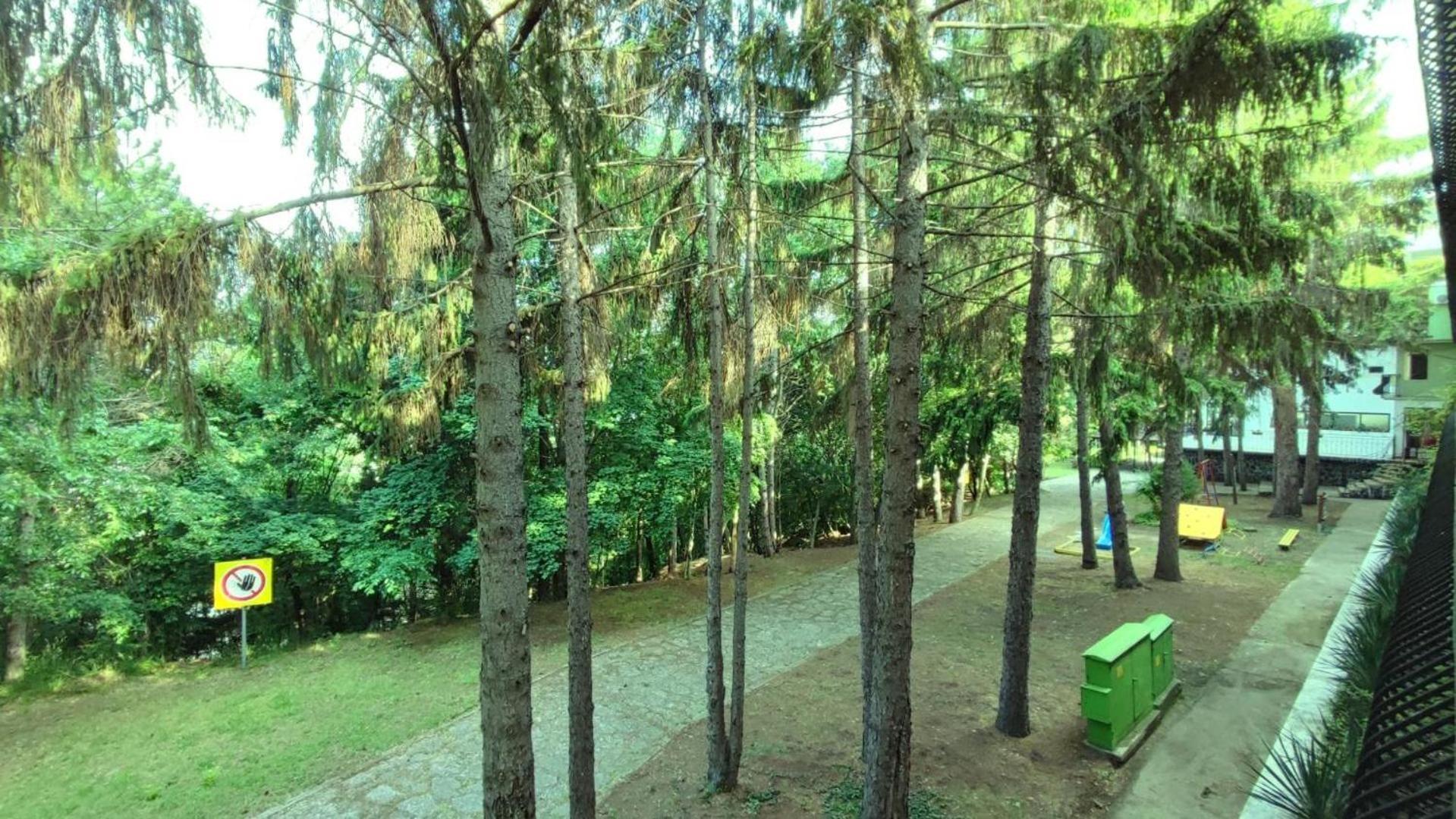 Park Hotel Briz Golden Sands Εξωτερικό φωτογραφία